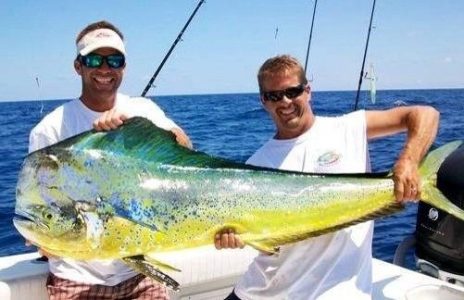 Mahi Mahi