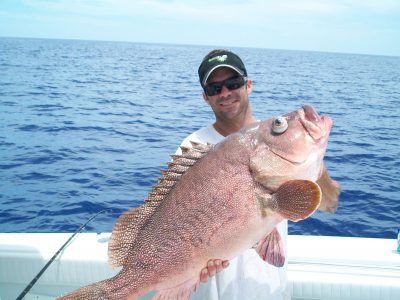 Kitty Mitchell Grouper