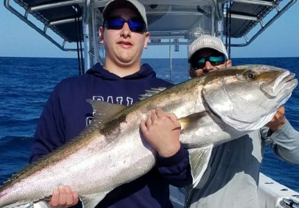 Amberjack
