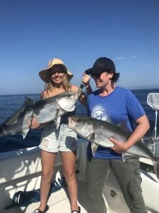 amberjack