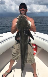 Cobia