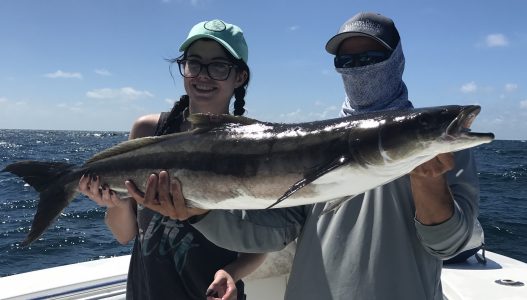 Cobia fishing the offshore wrecks