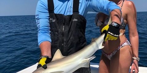 Shark Fishing Clearwater
