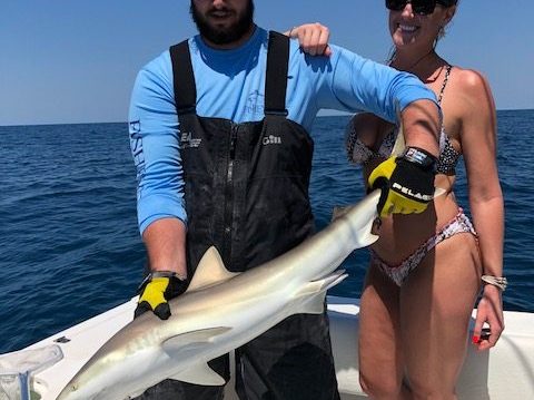 Shark Fishing Clearwater