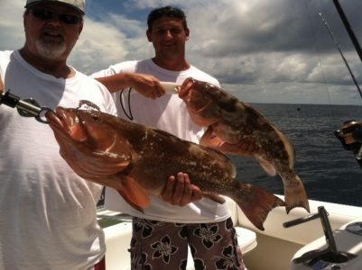 Red Grouper
