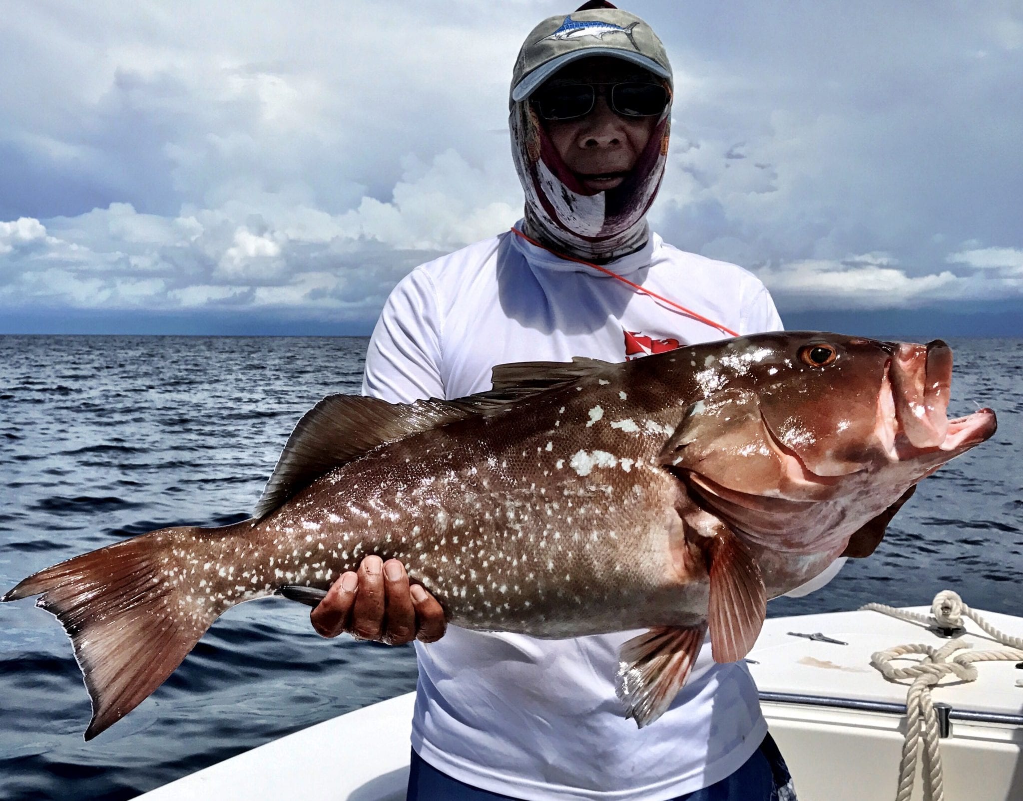 3/4 Day Deep Sea Fishing Clearwater FL | FishEye Sportfishing