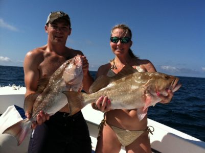 red grouper