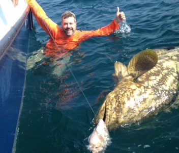 goliath grouper
