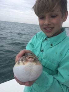Blowfish