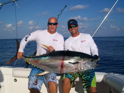 Yellowfin Tuna