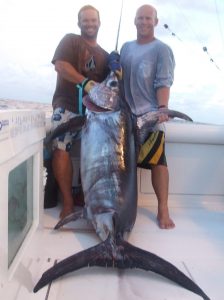 Swordfish