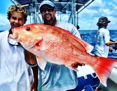 American Red Snapper