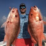 American Red Snapper