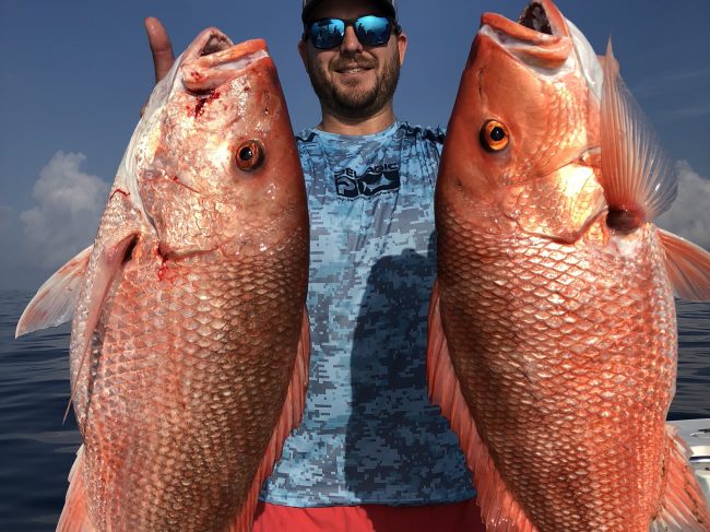 American Red Snapper