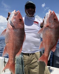 American Red Snapper