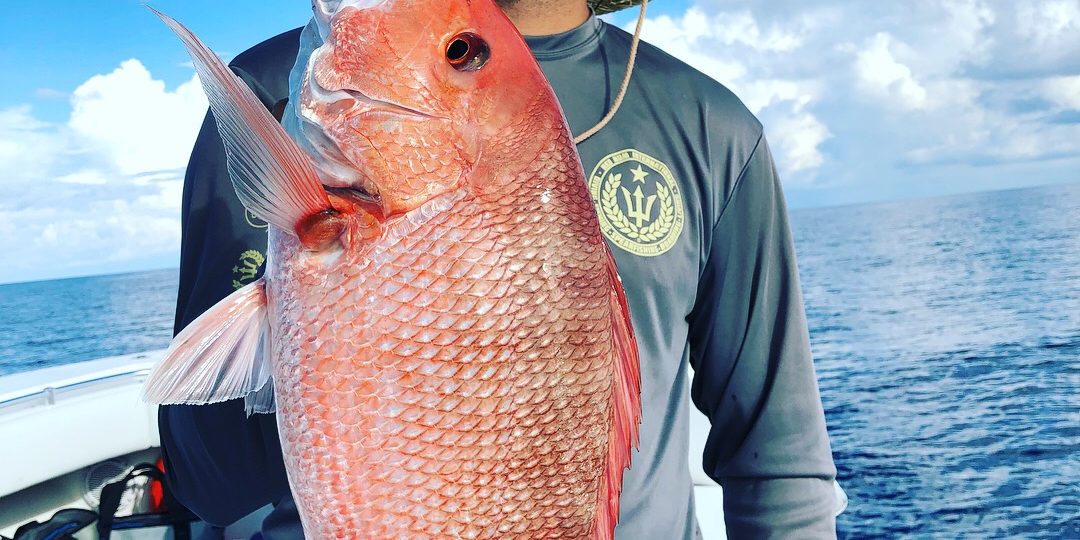 American Red Snapper fishing