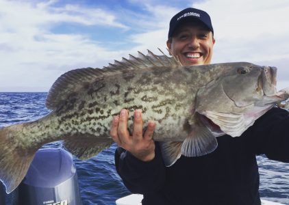 Gag Grouper for dinner