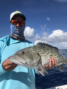 grouper