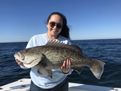 grouper