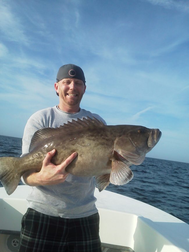 Gag Grouper bite excellent