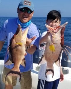 hogfish