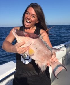 Hog Snapper