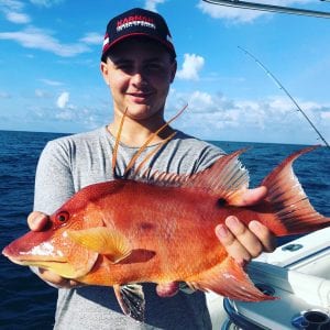 hogfish