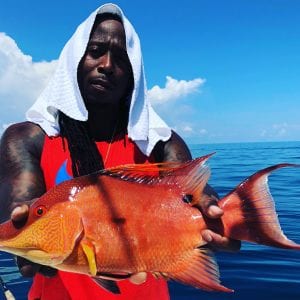 hogfish