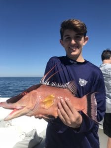 hogfish