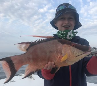Hogfish fishing charter