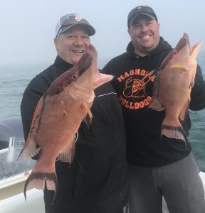 hogfish