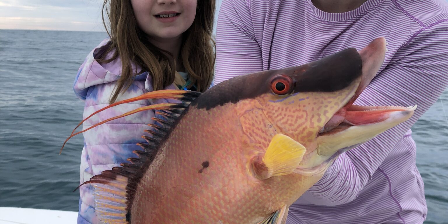 hogfishing_charters