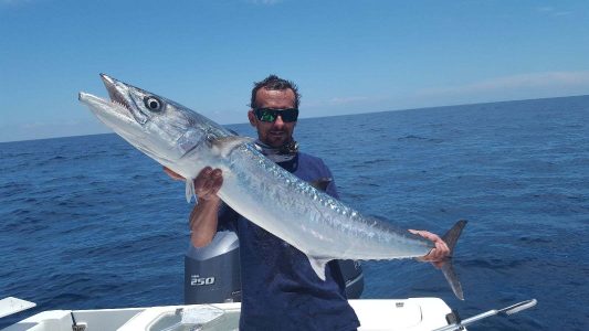 Tournament winning kingfish