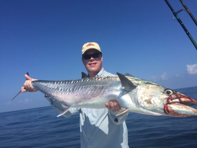 Smoker Kingfish in Clearwater Florida