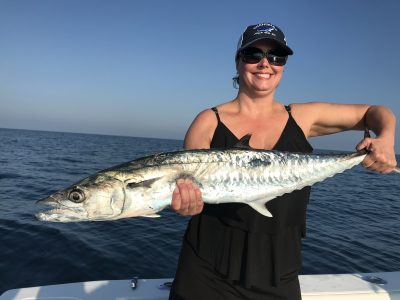 kingfish