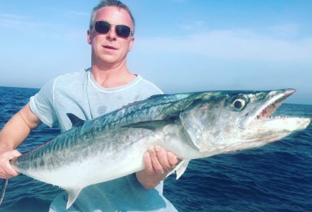 kingfish