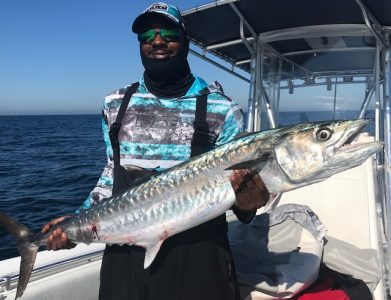kingfish