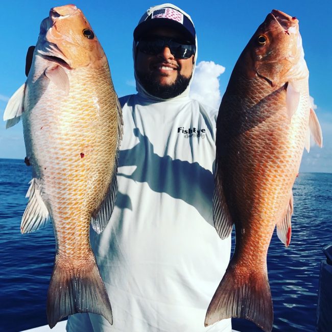 Mangrove Snapper
