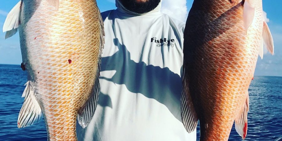 Mangrove Snapper