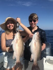 Mangrove snapper