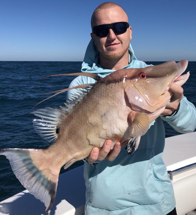 Hog fishing Charters