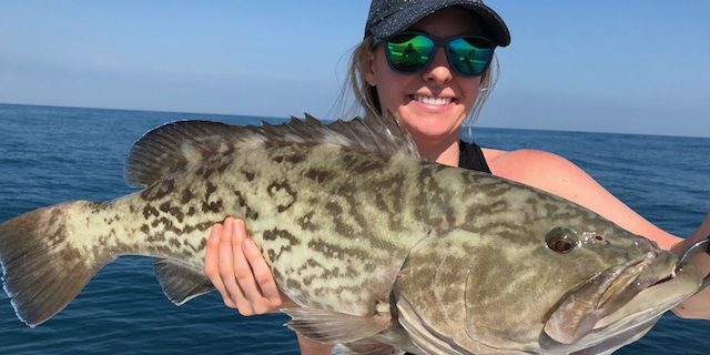 grouper_fishing_charters_fisheyesportfishing