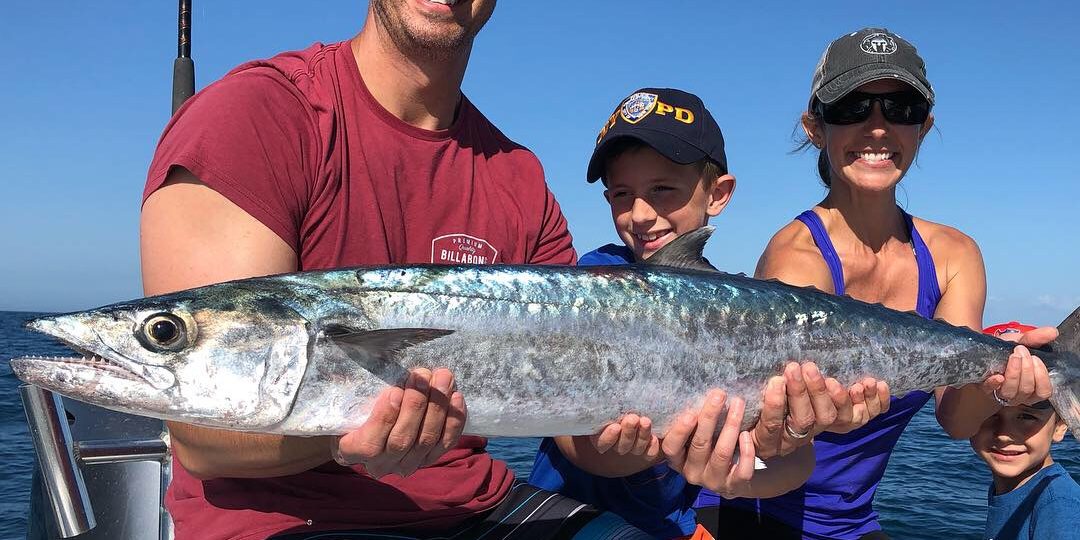 kingfish