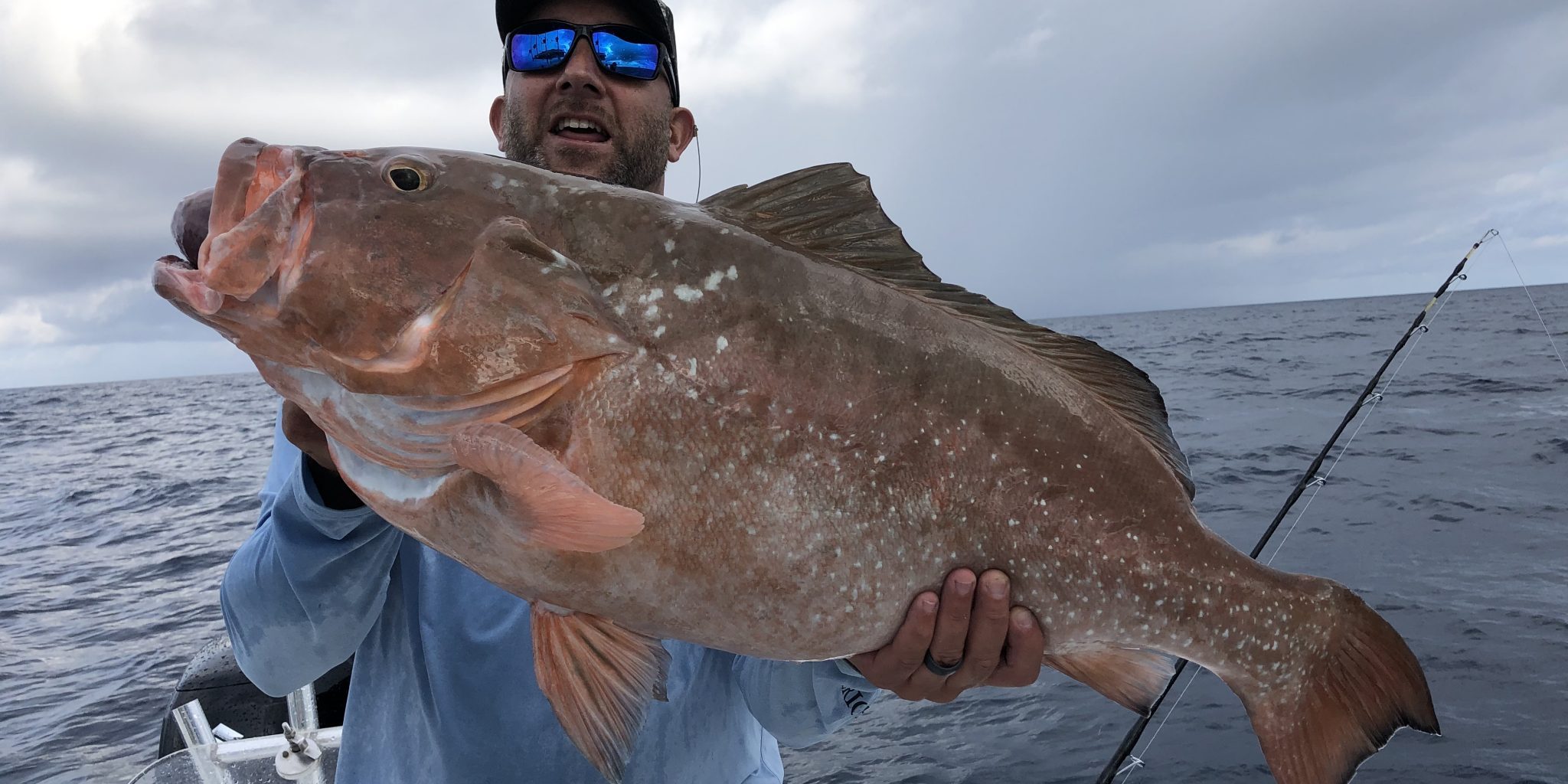 Red Grouper