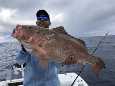 Red Grouper