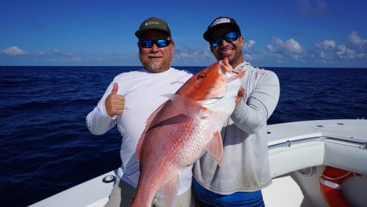 Red Snapper