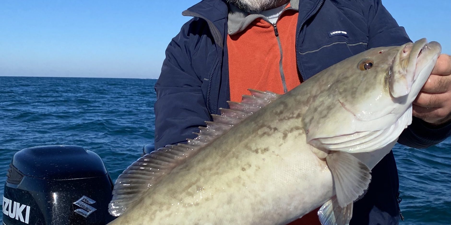 fishing_charters_in_clearwater_grouper