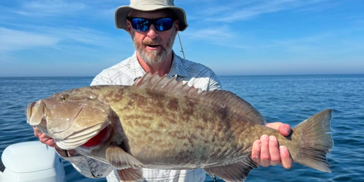 grouperfishingclearwater